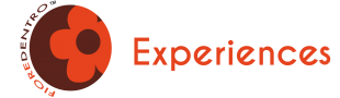 experiences experiences